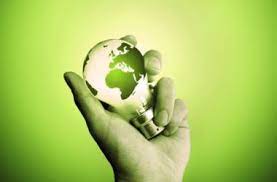 Экологическая палата России