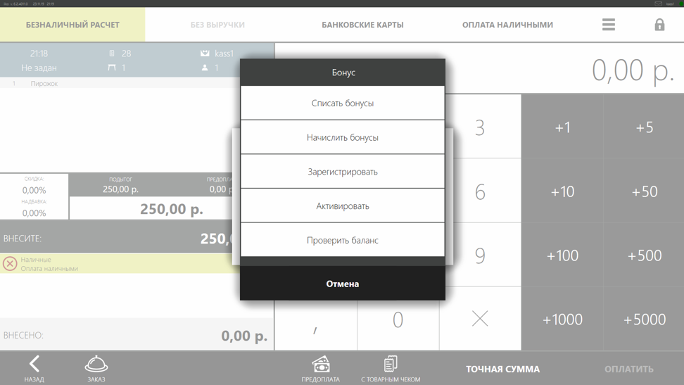 Пример интерфейса плагина бонусной системы для iiko